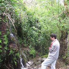 IMG_4604