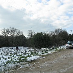 IMG_3153