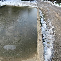 IMG_3158