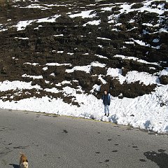 IMG_3165