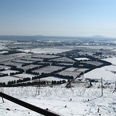 IMG_3178