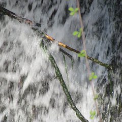 IMG_3004