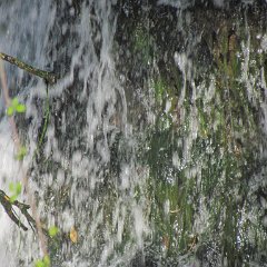 IMG_3005