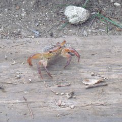 IMG_3014