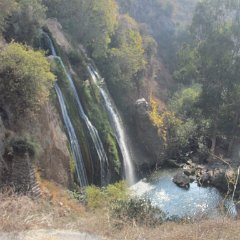 IMG_3026