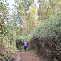 IMG_2978