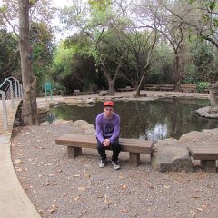 IMG_2984
