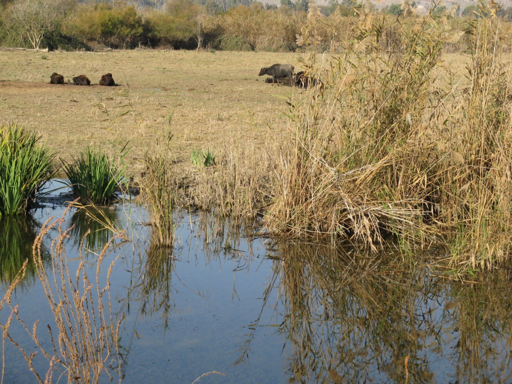 photo16.jpg
