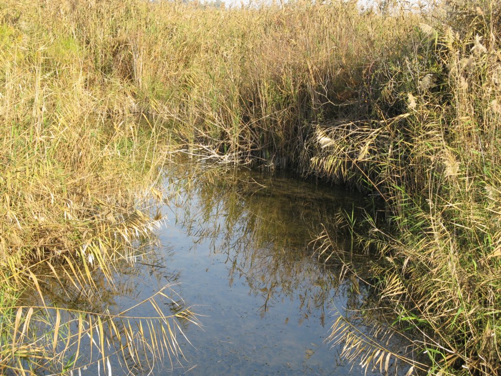 photo26.jpg