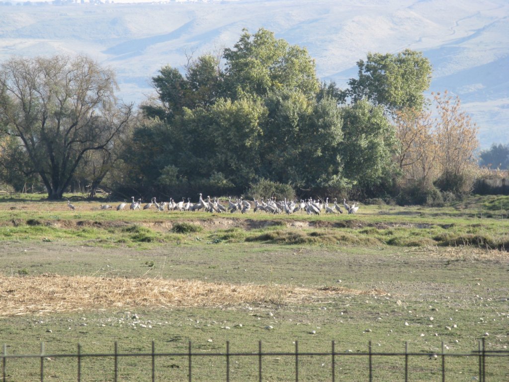 photo3.jpg
