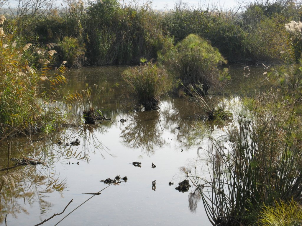 photo31.jpg