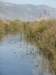 photo50_small.jpg