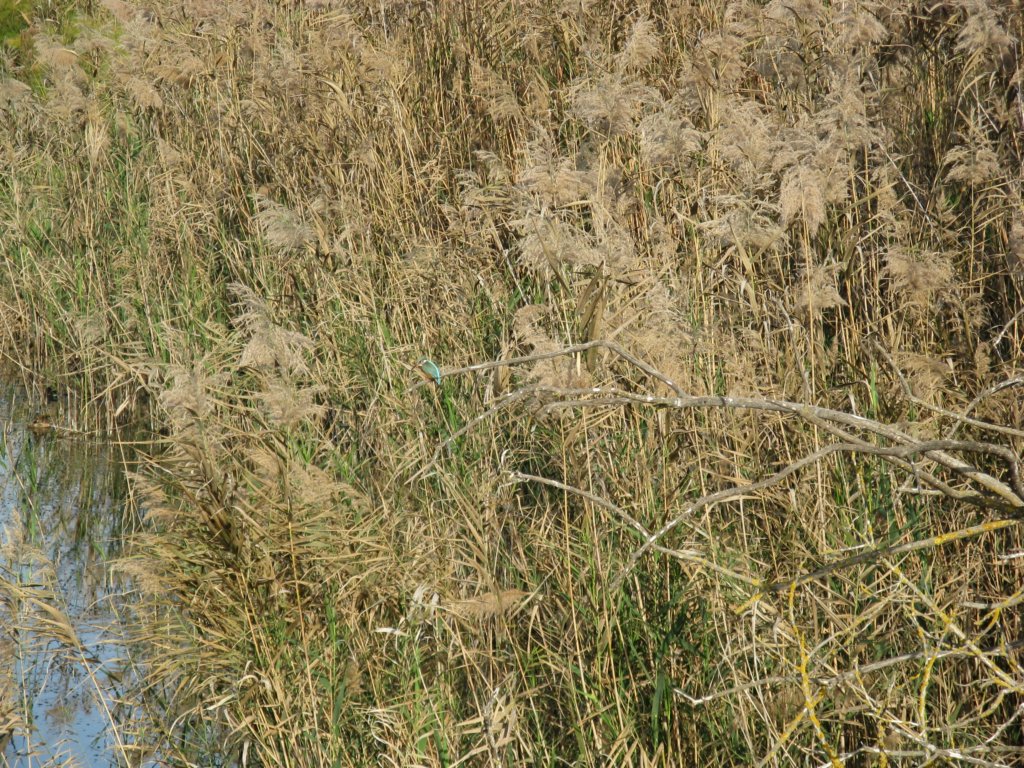 photo51.jpg