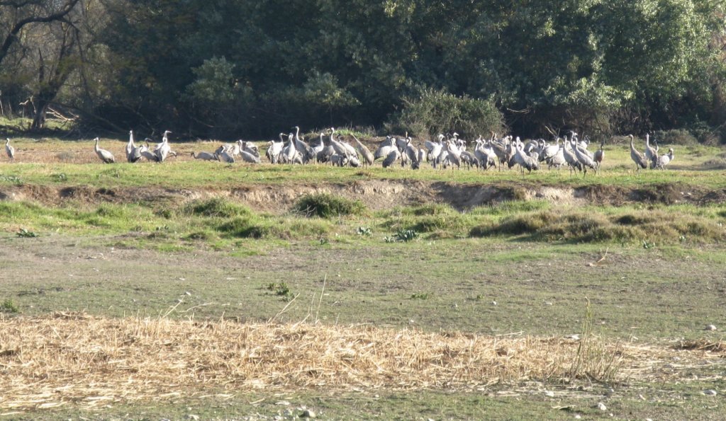photo7.jpg