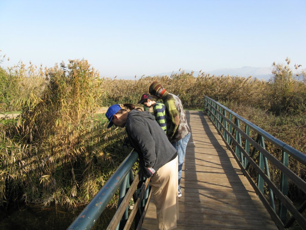 photo9.jpg