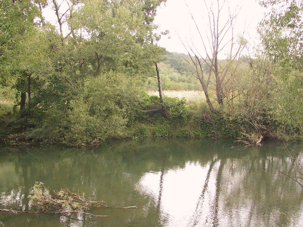 57.jpg