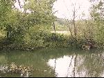 Thumbnail Image, Click to Enlarge thumb_57.jpg