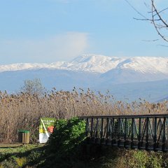IMG_1051