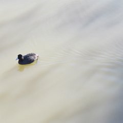 IMG_1052