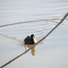 IMG_1053