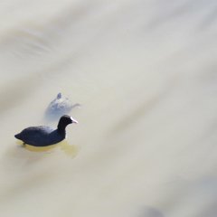 IMG_1054