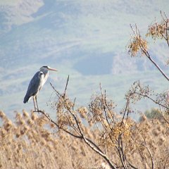 IMG_1055