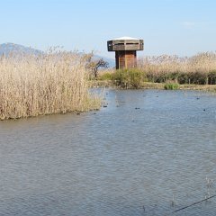 IMG_1069