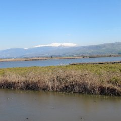 IMG_1072
