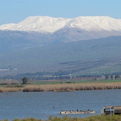 IMG_1073