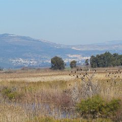 IMG_1074