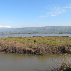 IMG_1075