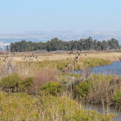 IMG_1079