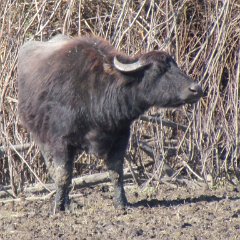 IMG_1097