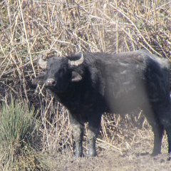 IMG_1098
