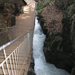 IMG_4538