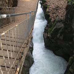IMG_4539