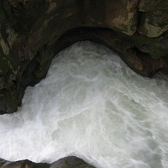 IMG_4540
