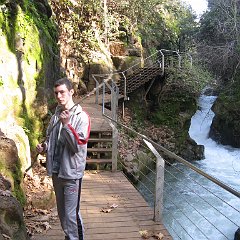 IMG_4541