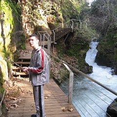 IMG_4542