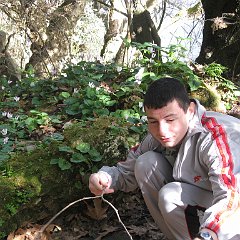 IMG_4551
