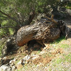 IMG_4492