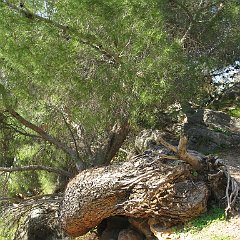 IMG_4493
