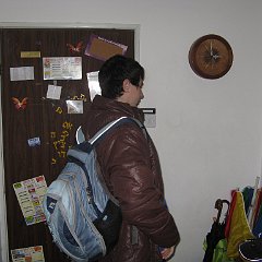IMG_4517