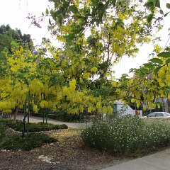 IMG_0244