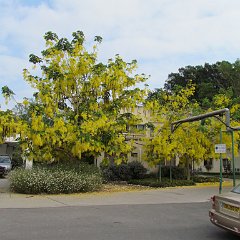 IMG_0246