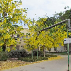 IMG_0250