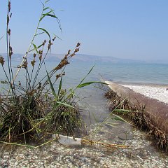 IMG_0255