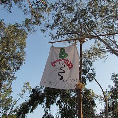 IMG_0297