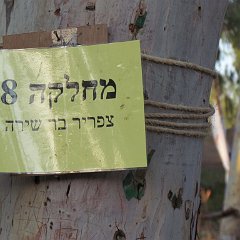IMG_0310
