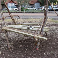 IMG_0312